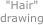 "Hair" drawing